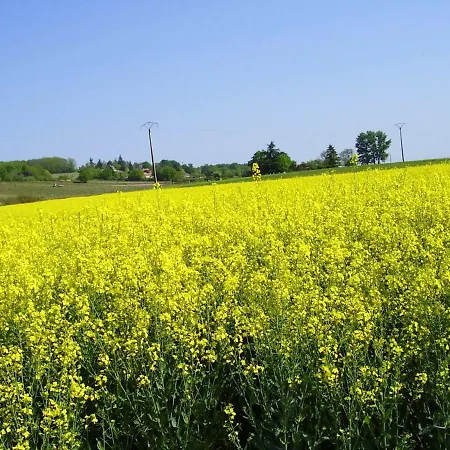 Maison Charmante à Ruillé-sur-loir Avec Jardin Privé Сasa de vacaciones *