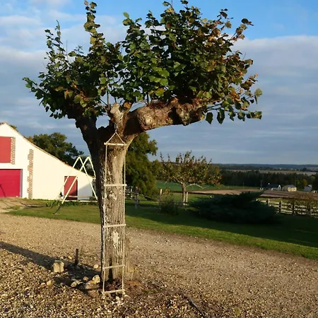 Maison Charmante A Avec Jardin Prive * Ruille-Sur-Loir